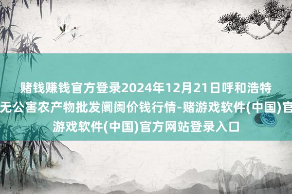 赌钱赚钱官方登录2024年12月21日呼和浩特市好意思通首府无公害农产物批发阛阓价钱行情-赌游戏软件(中国)官方网站登录入口