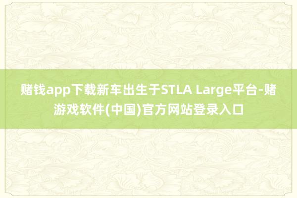 赌钱app下载新车出生于STLA Large平台-赌游戏软件(中国)官方网站登录入口