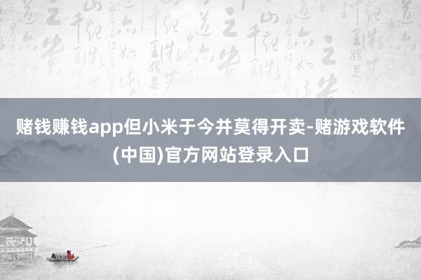 赌钱赚钱app但小米于今并莫得开卖-赌游戏软件(中国)官方网站登录入口