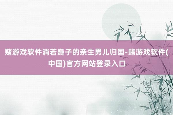 赌游戏软件淌若巍子的亲生男儿归国-赌游戏软件(中国)官方网站登录入口